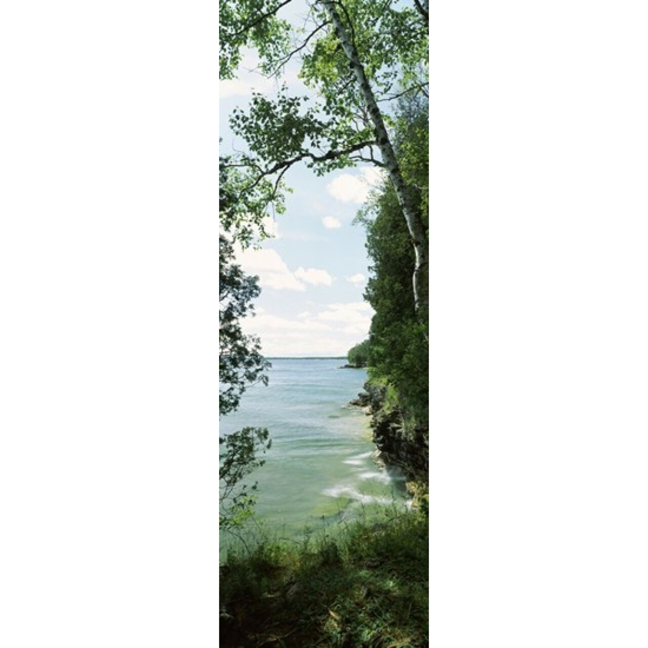 Trees At The Lakeside Cave Point County Park Lake Michigan Door County Wisconsin Usa Poster Print (36 X 12)